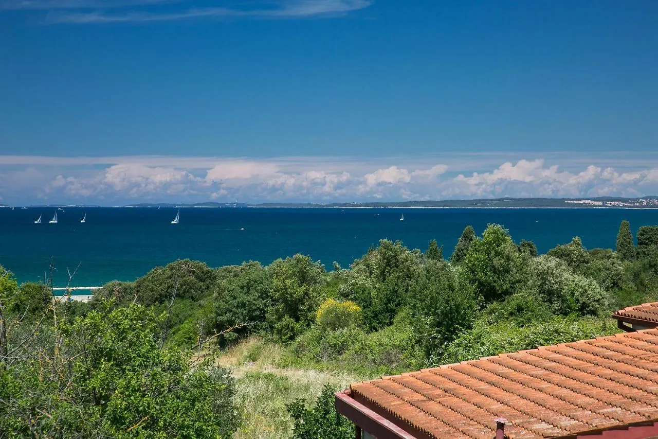Apartment Sara, Village Stinjan Pula